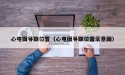 心电图导联位置（心电图导联位置示意图）